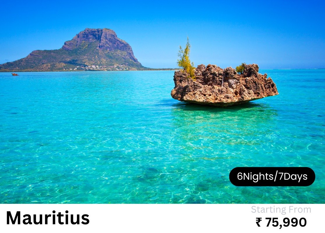 WhatsApp Image 2024-04-25 at 1.02.08 AM (6)