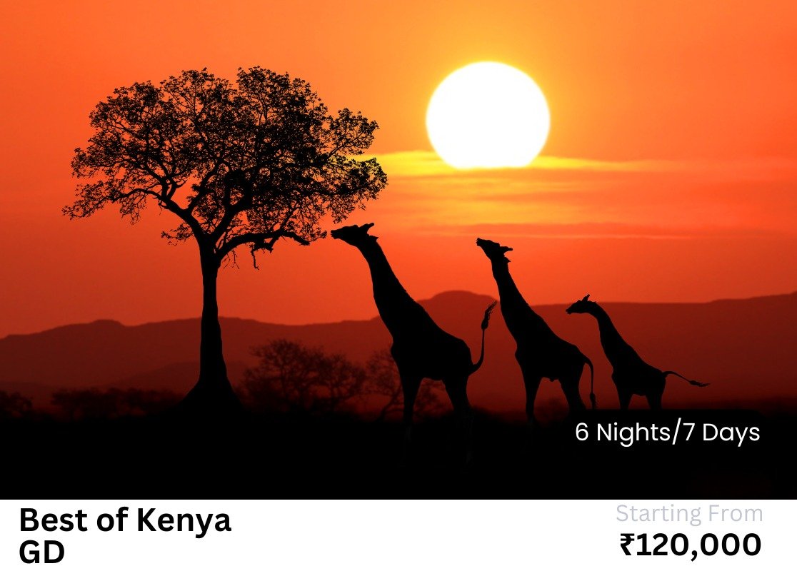 WhatsApp Image 2024-05-06 at 10.40.19 PM (4)