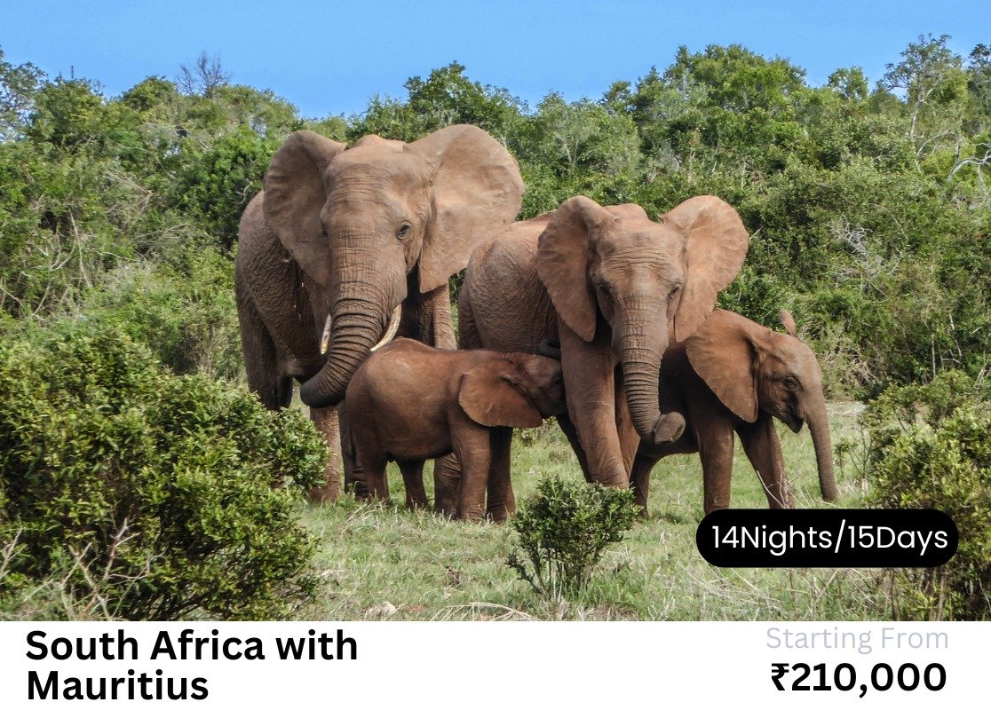 WhatsApp Image 2024-05-06 at 10.40.19 PM